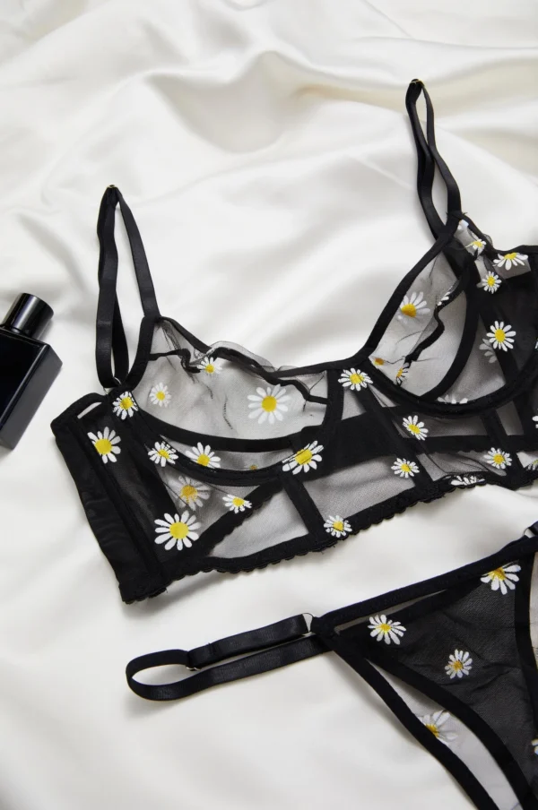 Conjunto de corsé y tangas negro transparente