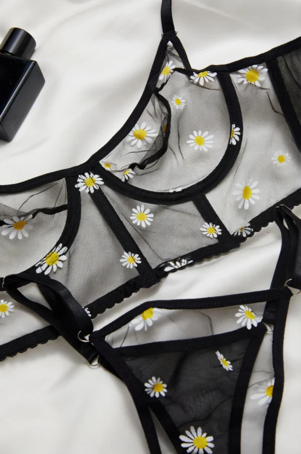 Conjunto de corsé y tangas negro transparente