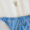 Lencería azul transparente con motivos de rosa,