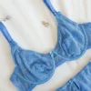 Lencería azul transparente con motivos de rosa,
