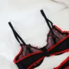 Lencería Negra Transparente con Bordados Florales Rosa y Borde Rojo