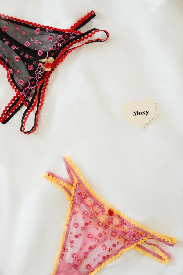 Lencería Negra Transparente con Bordados Florales Rosa y Borde Rojo