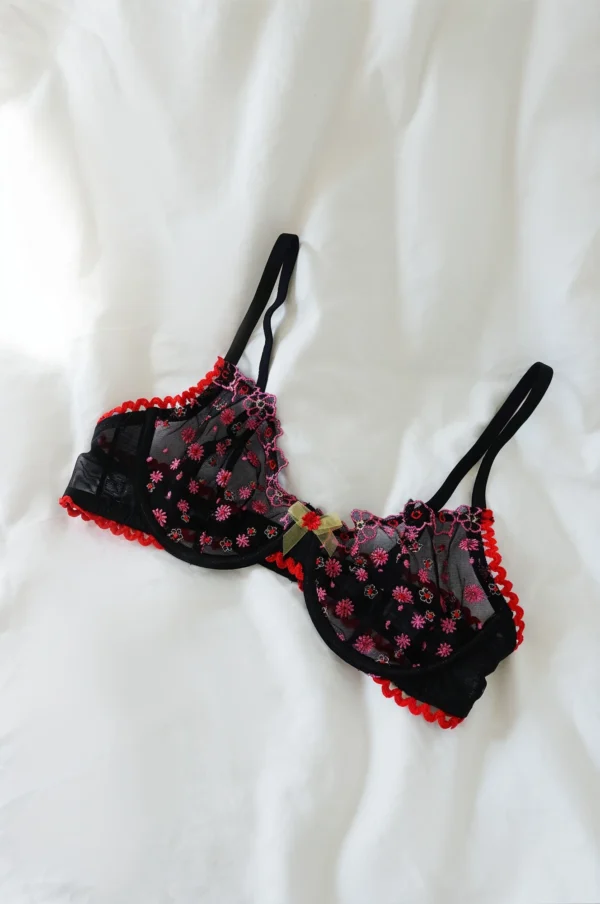 Lencería Negra Transparente con Bordados Florales Rosa y Borde Rojo