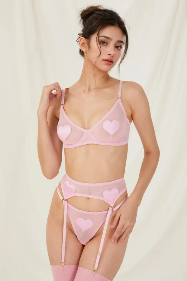 Conjunto de Lencería de Malla con Aplicaciones de Corazones de Satín Rosa
